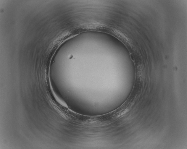 X0000073990589200609111535