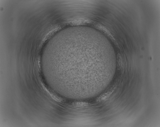 X0000073990590200609111535