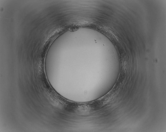 X0000073990591200609111535