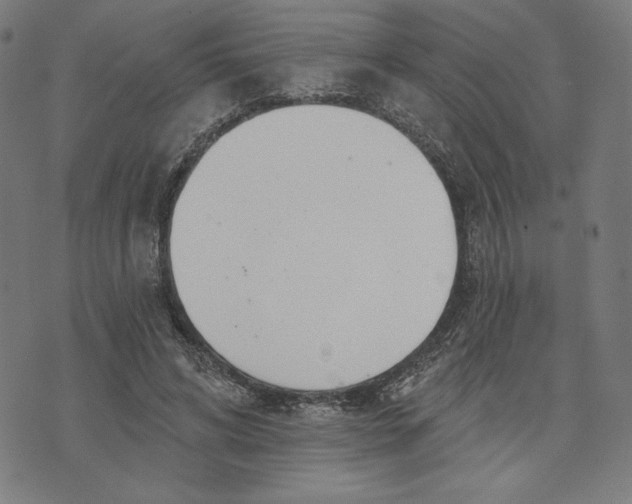 X0000073990592200609111535