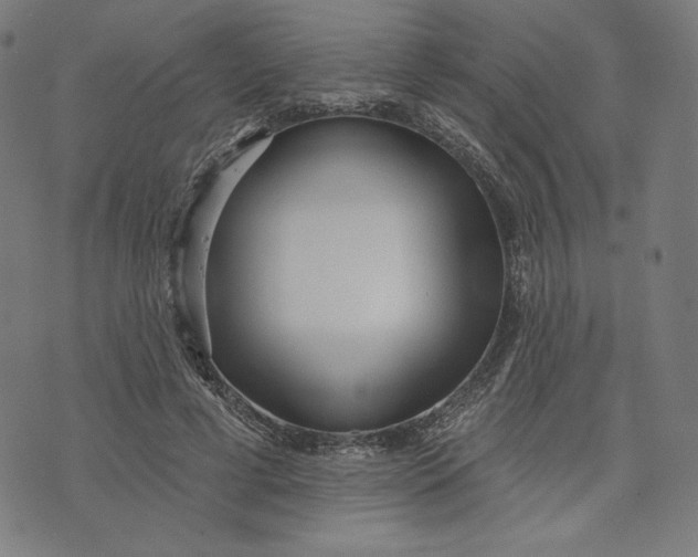 X0000073990593200609111535