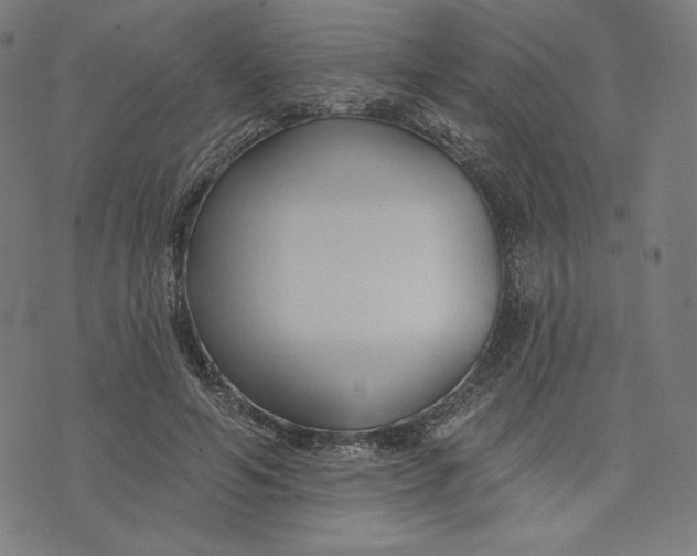 X0000073990594200609111535