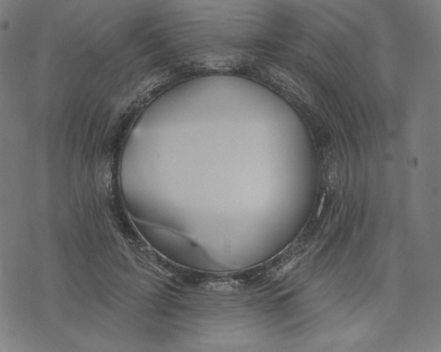 X0000073990595200609111535