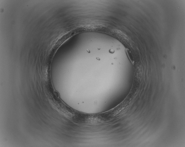 X0000073990596200609111535