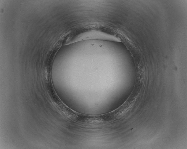 X0000073990597200609111535