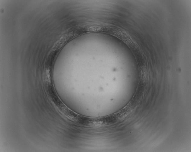 X0000073990598200609111535