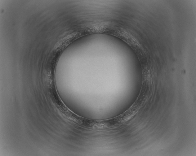 X0000073990599200609111535