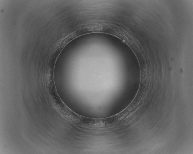 X0000073990600200609111535