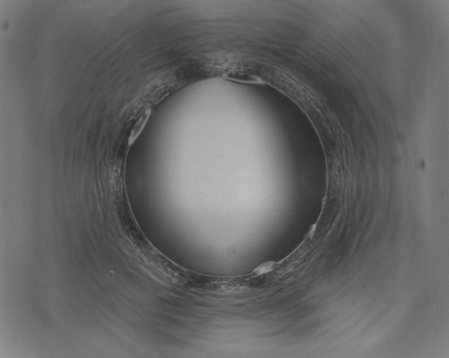 X0000073990601200609111535