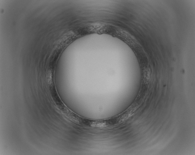 X0000073990602200609111535