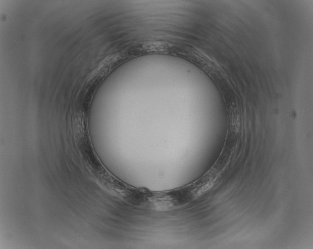 X0000073990603200609111535