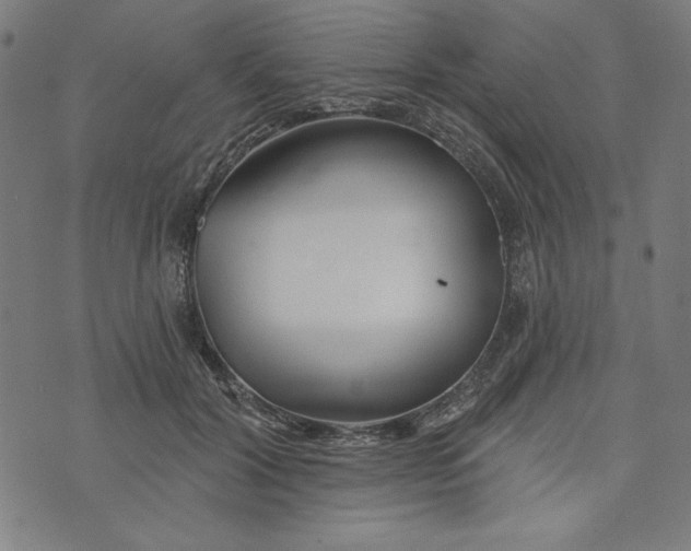 X0000073990604200609111535