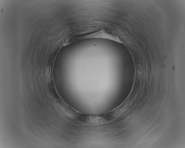 X0000073990605200609111535