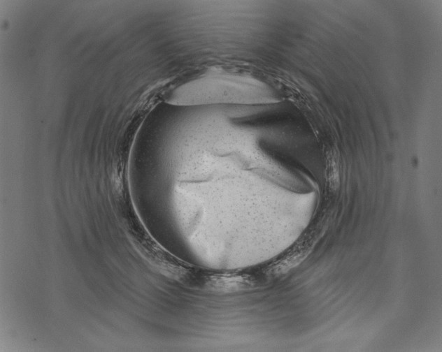 X0000073990607200609111535