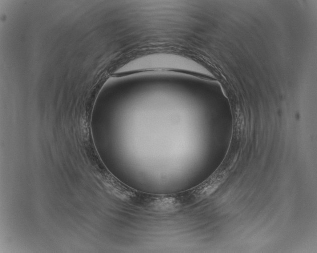 X0000073990609200609111535