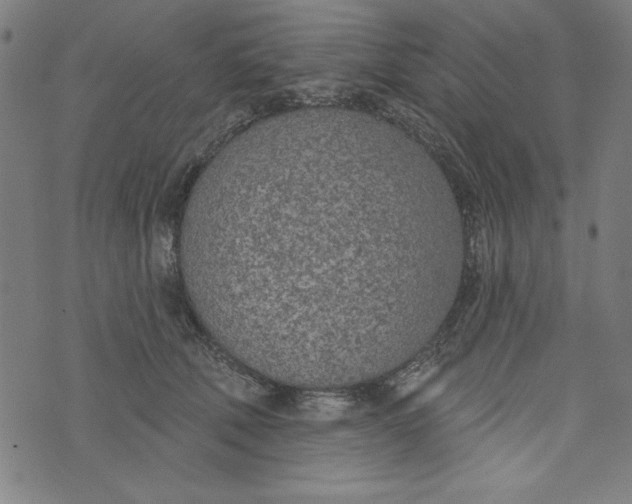 X0000073990610200609111535