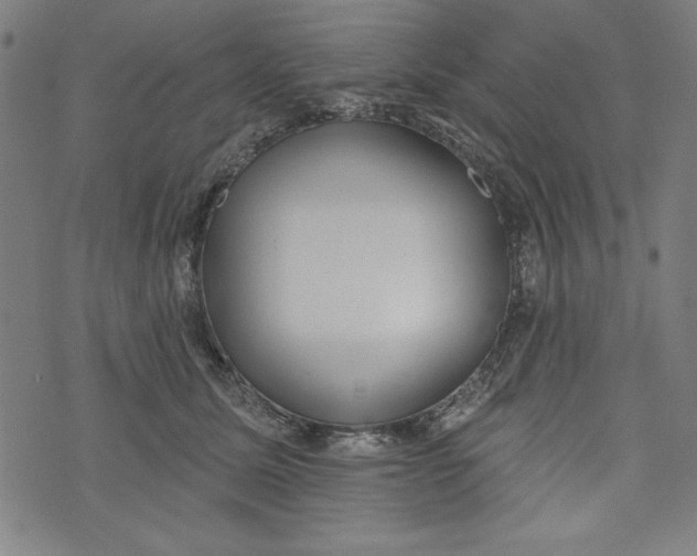 X0000073990611200609111535