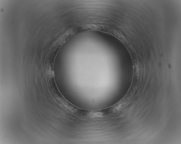 X0000073990617200609111535