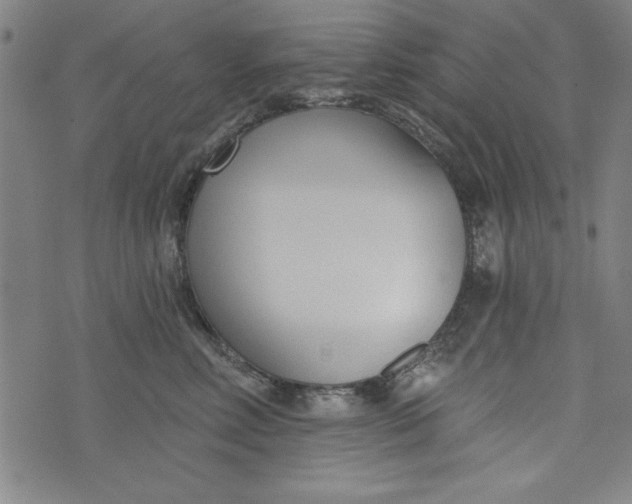 X0000073990618200609111535