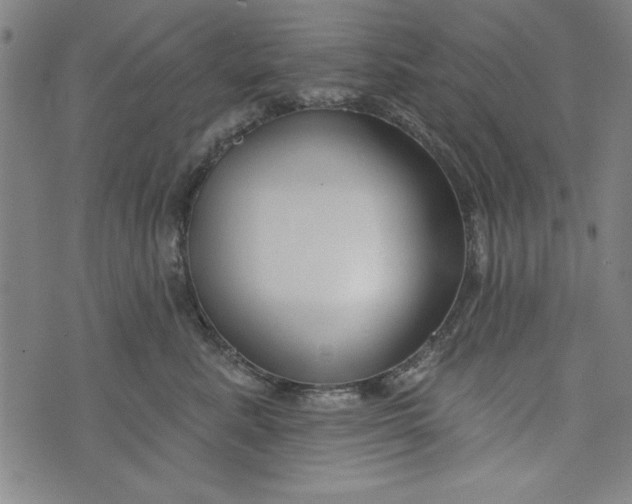 X0000073990619200609111535