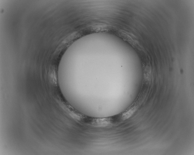 X0000073990622200609111535