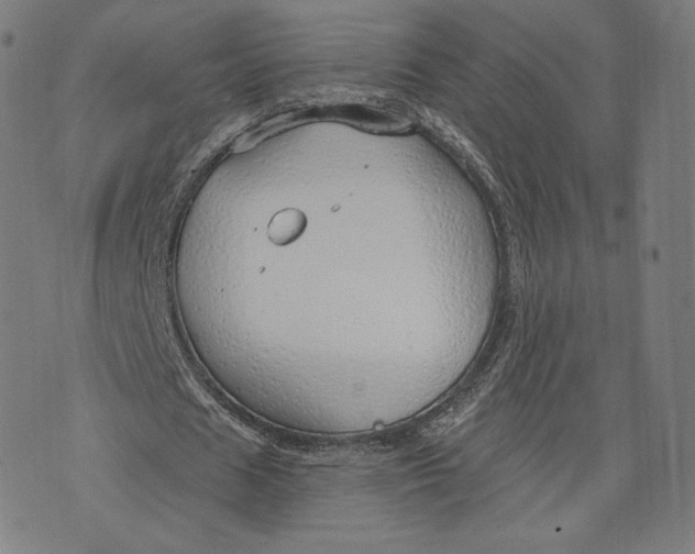 X0000073990625200609111534