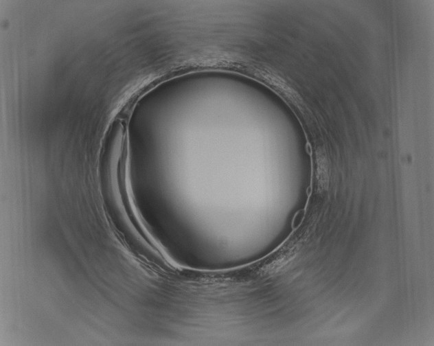 X0000073990626200609111534