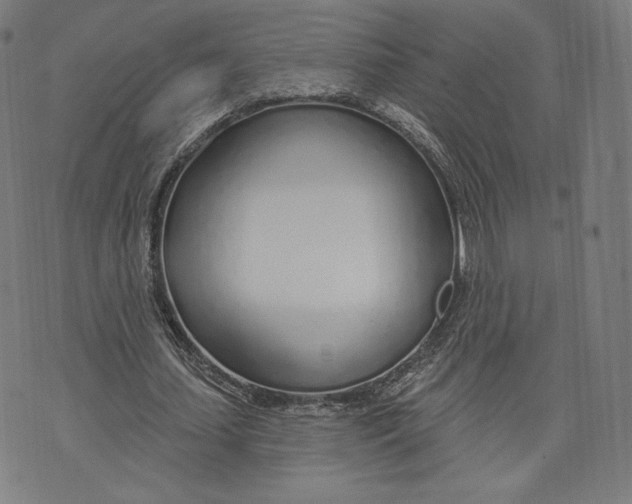 X0000073990627200609111534