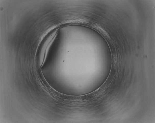 X0000073990628200609111534