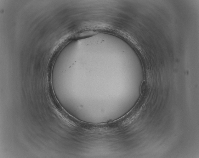 X0000073990629200609111534