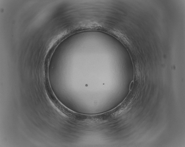 X0000073990630200609111534