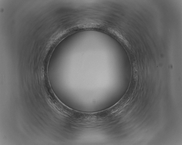 X0000073990631200609111534