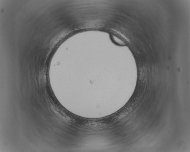 X0000073990632200609111534