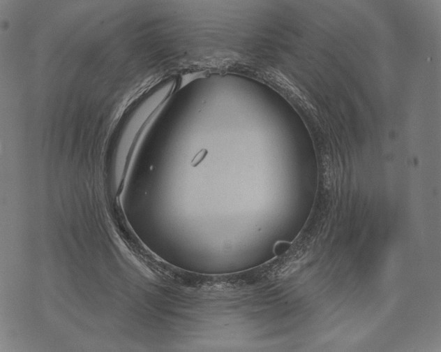 X0000073990634200609111534