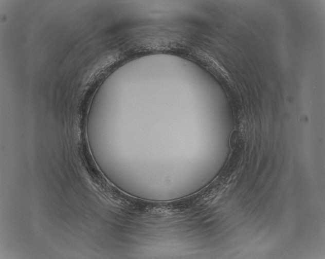 X0000073990635200609111534