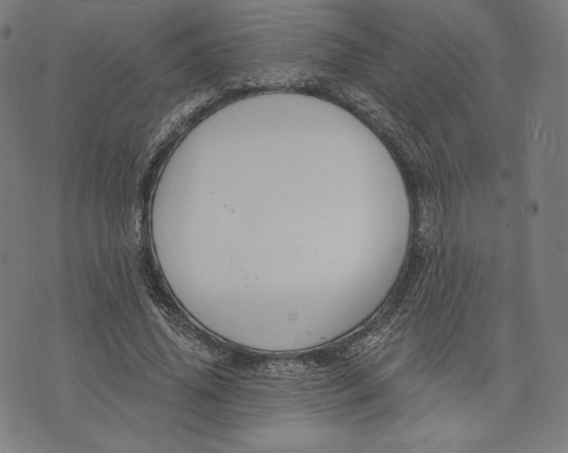 X0000073990636200609111534