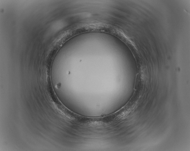 X0000073990637200609111534