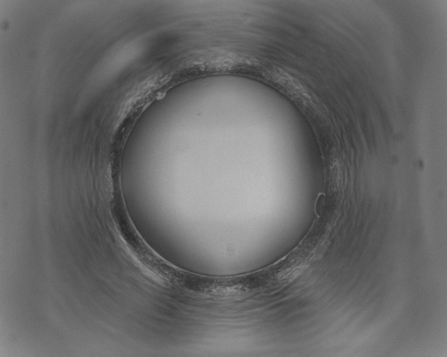 X0000073990638200609111534