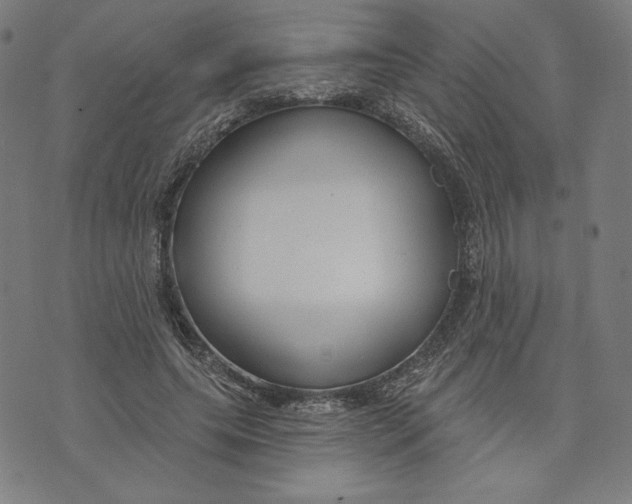 X0000073990639200609111534