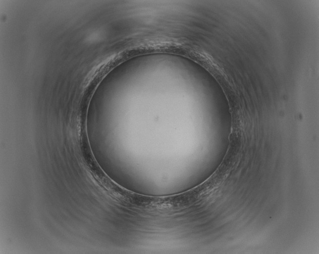 X0000073990640200609111534