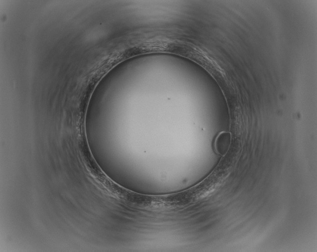 X0000073990641200609111534