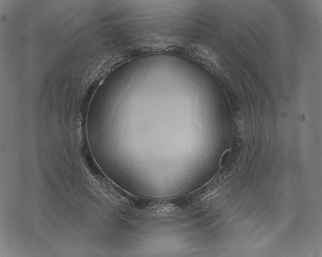 X0000073990642200609111534