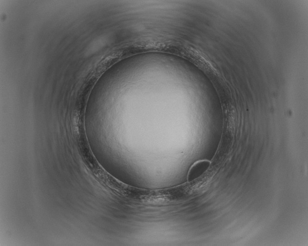 X0000073990643200609111534