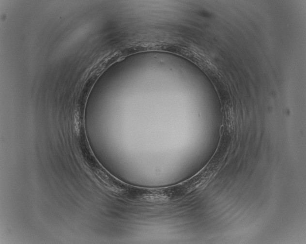 X0000073990644200609111534