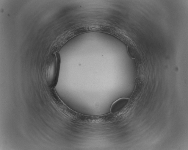 X0000073990645200609111534