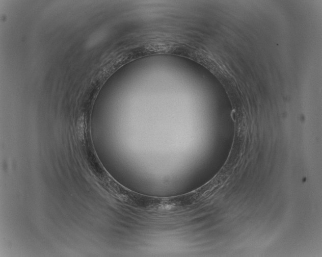 X0000073990647200609111534