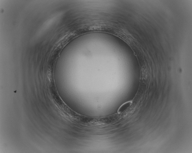 X0000073990648200609111534