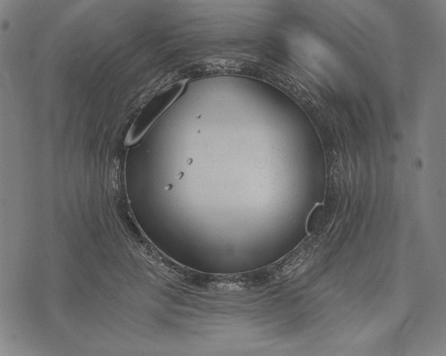 X0000073990649200609111534