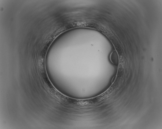 X0000073990650200609111534