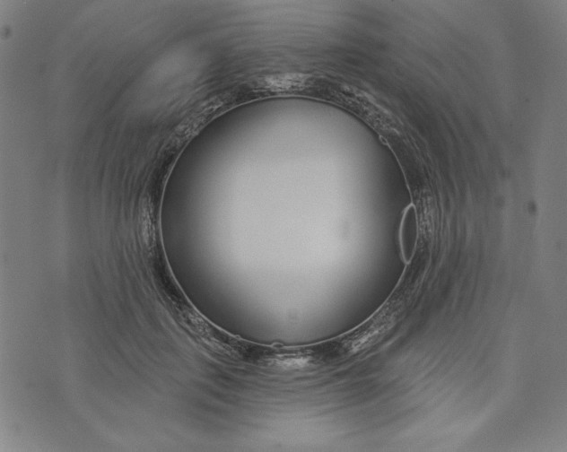 X0000073990651200609111534